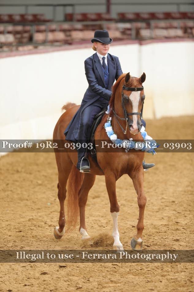 Proof 19R2_03903