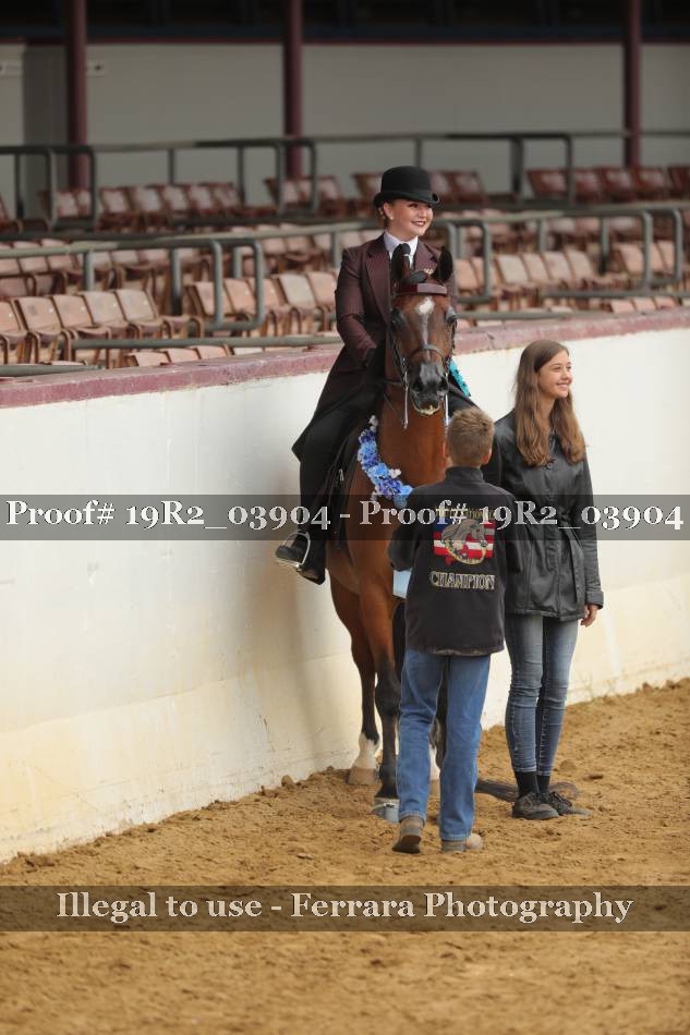 Proof 19R2_03904