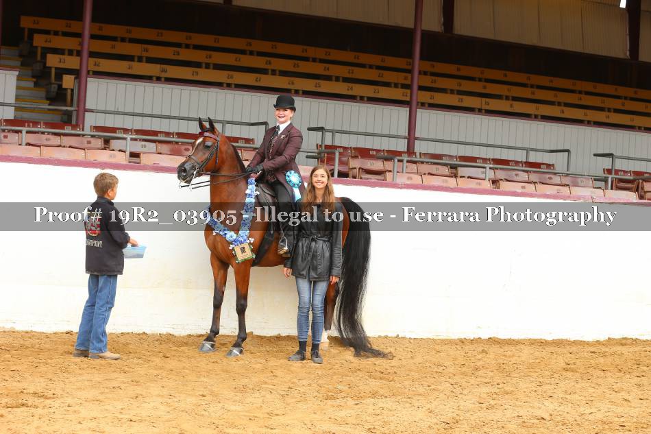Proof 19R2_03905