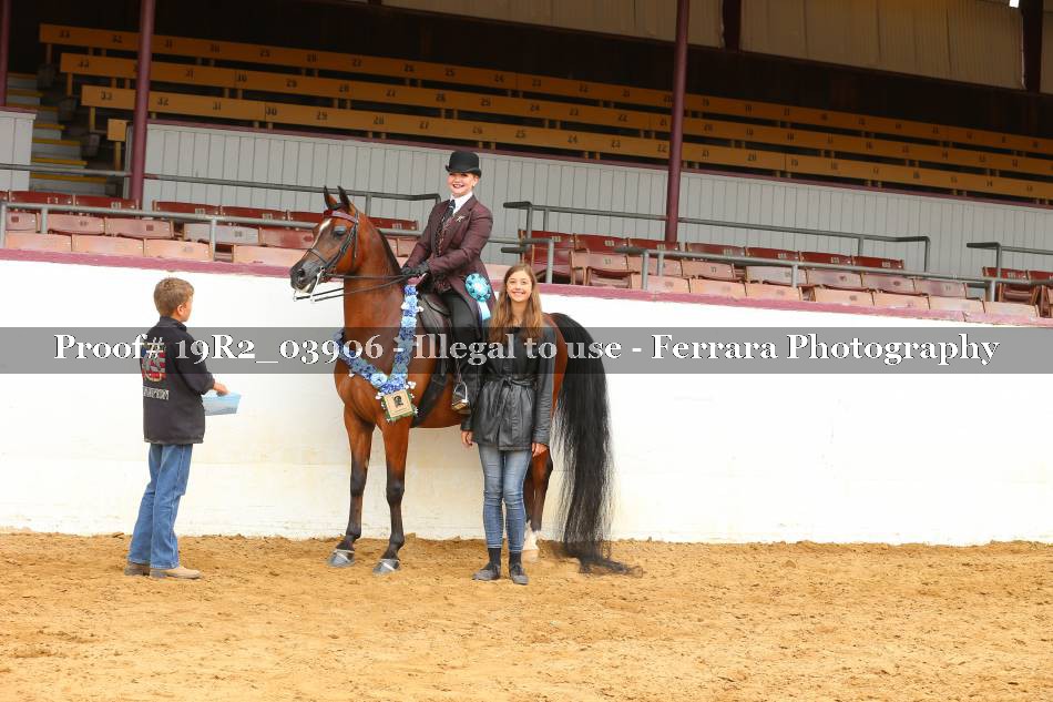 Proof 19R2_03906