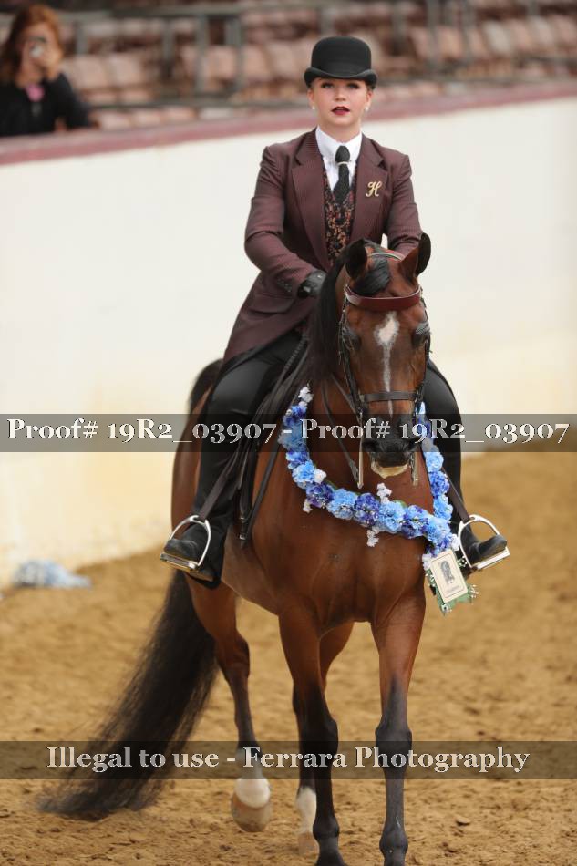 Proof 19R2_03907
