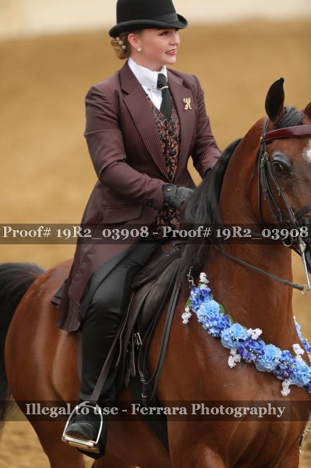Proof 19R2_03908