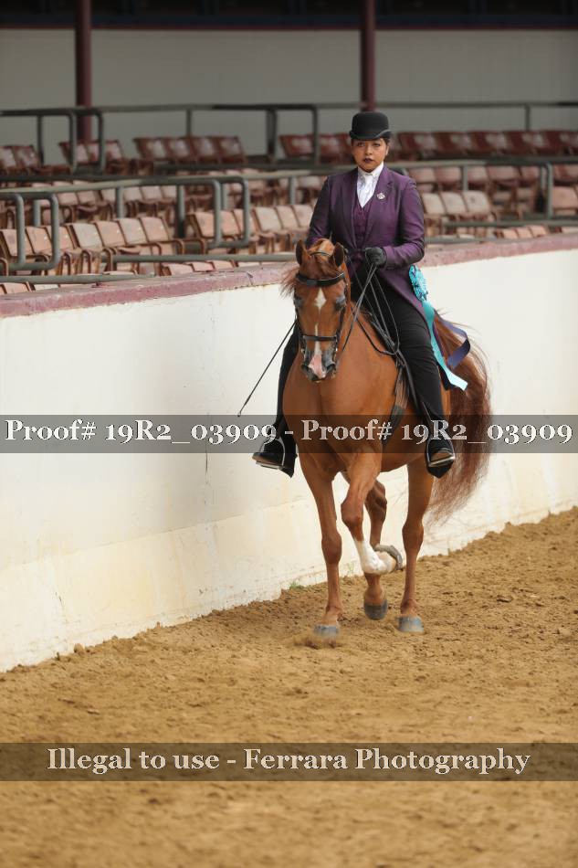 Proof 19R2_03909