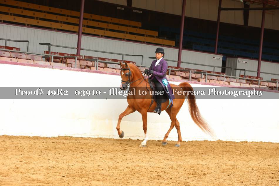 Proof 19R2_03910