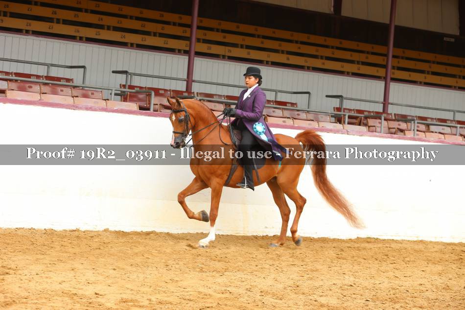 Proof 19R2_03911