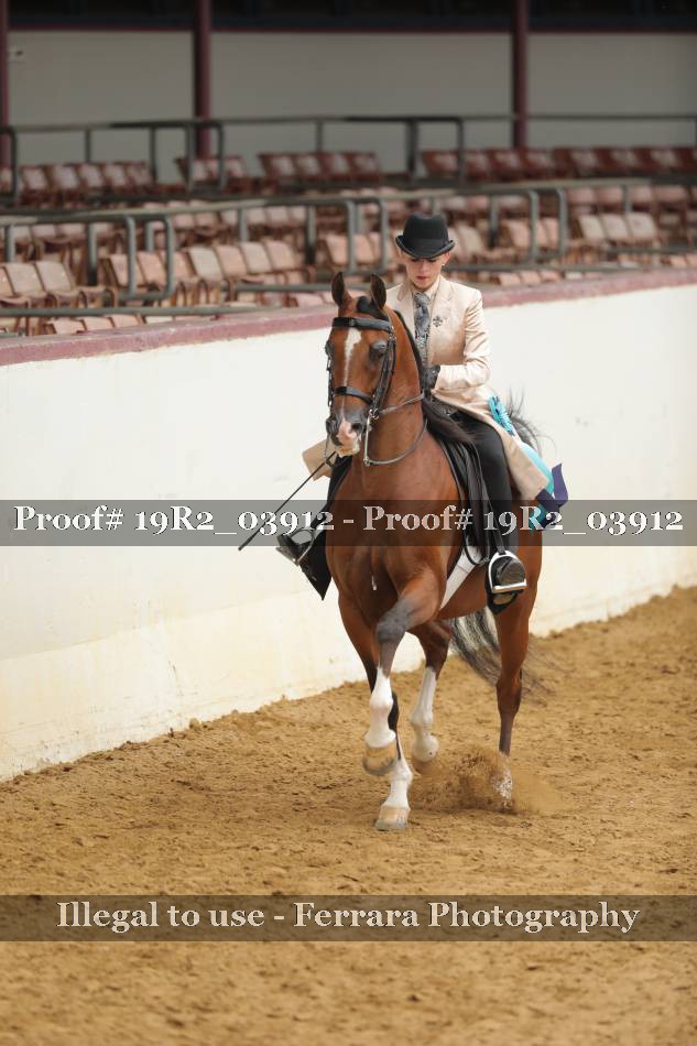 Proof 19R2_03912