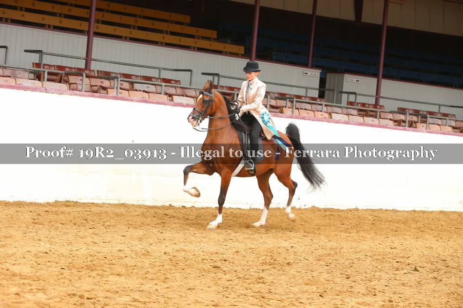 Proof 19R2_03913