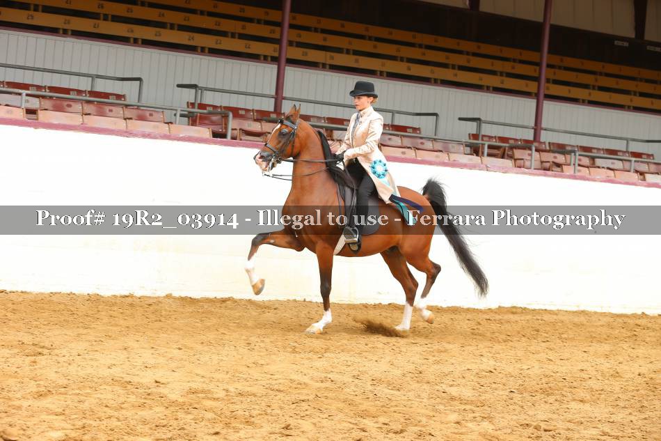 Proof 19R2_03914