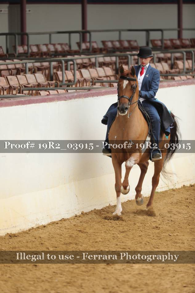 Proof 19R2_03915