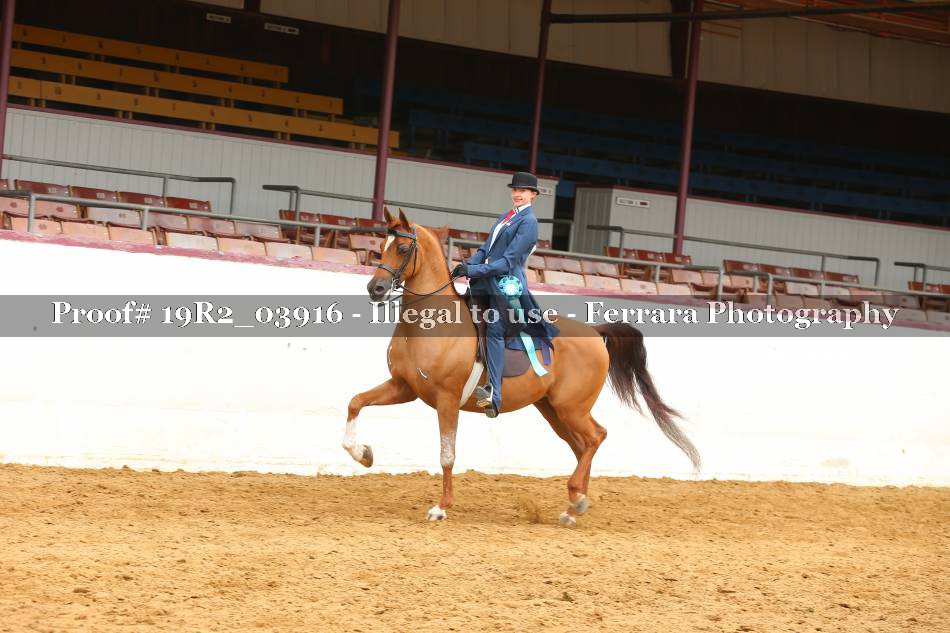 Proof 19R2_03916