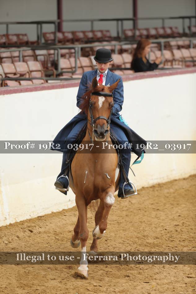 Proof 19R2_03917