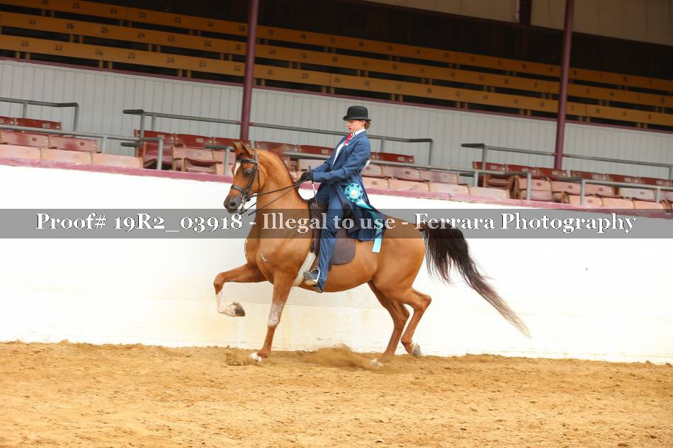 Proof 19R2_03918