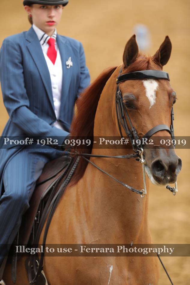 Proof 19R2_03919