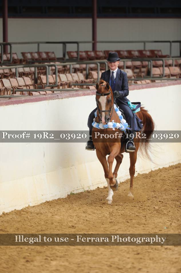 Proof 19R2_03920