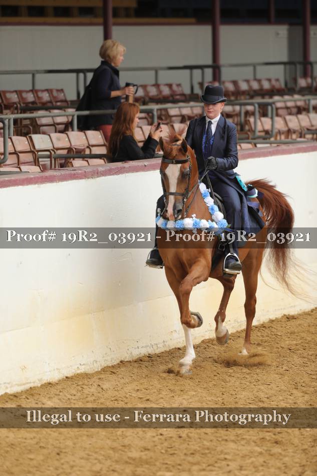 Proof 19R2_03921