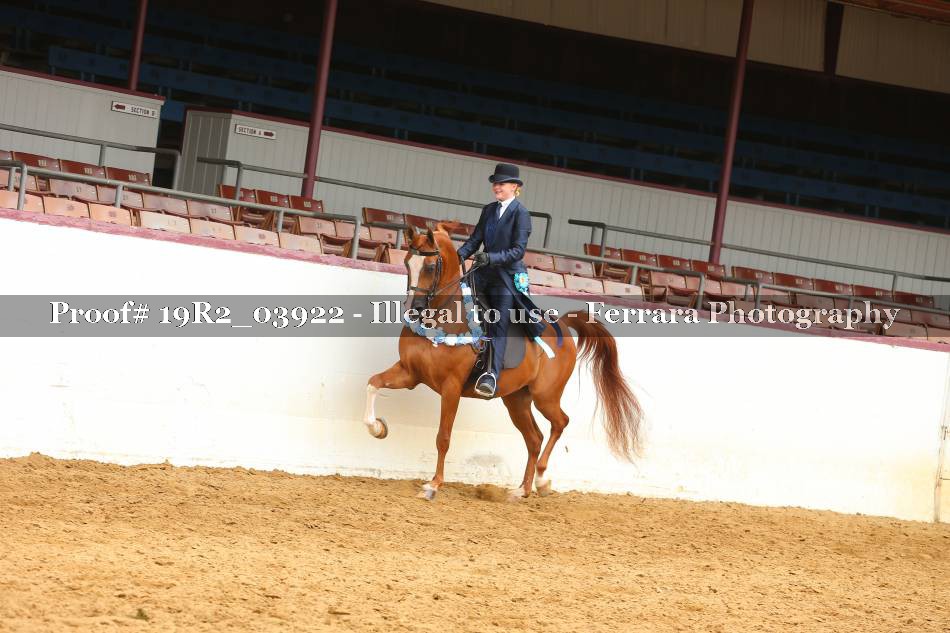 Proof 19R2_03922