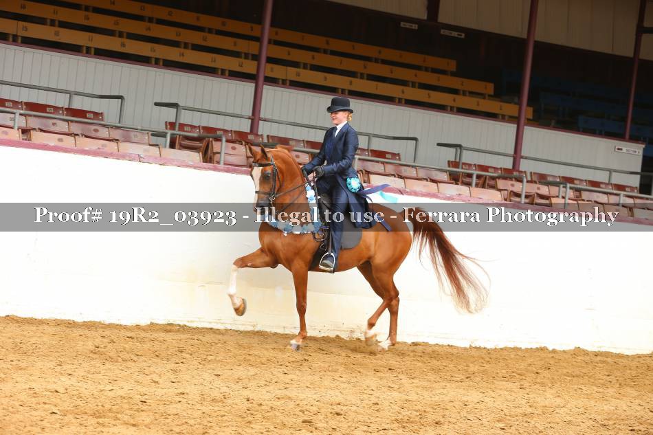 Proof 19R2_03923