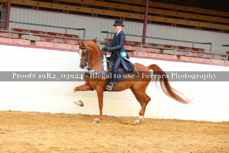 Proof 19R2_03924