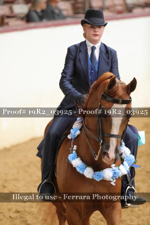 Proof 19R2_03925