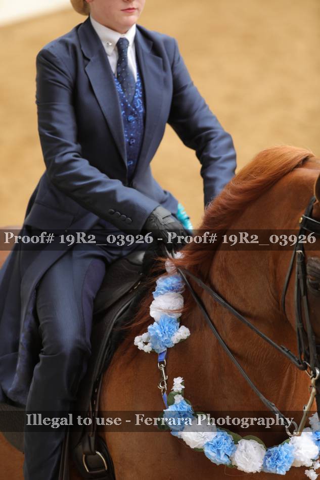 Proof 19R2_03926