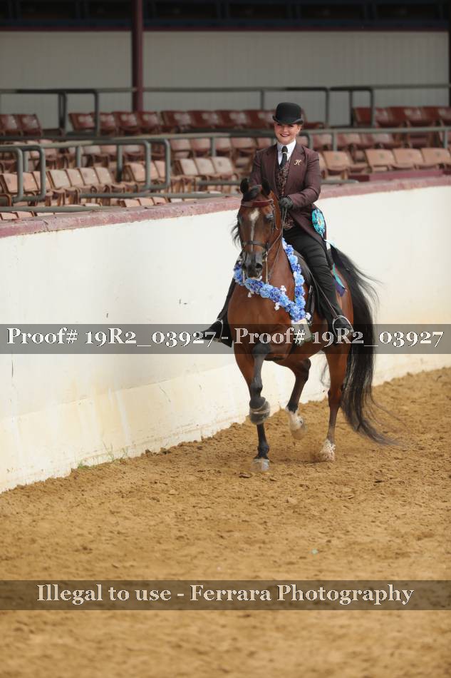 Proof 19R2_03927
