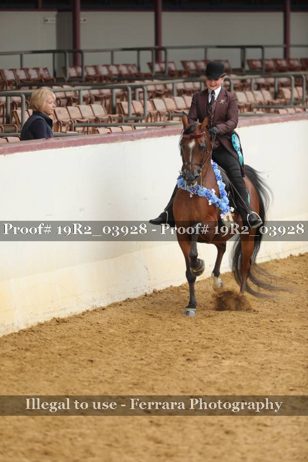 Proof 19R2_03928