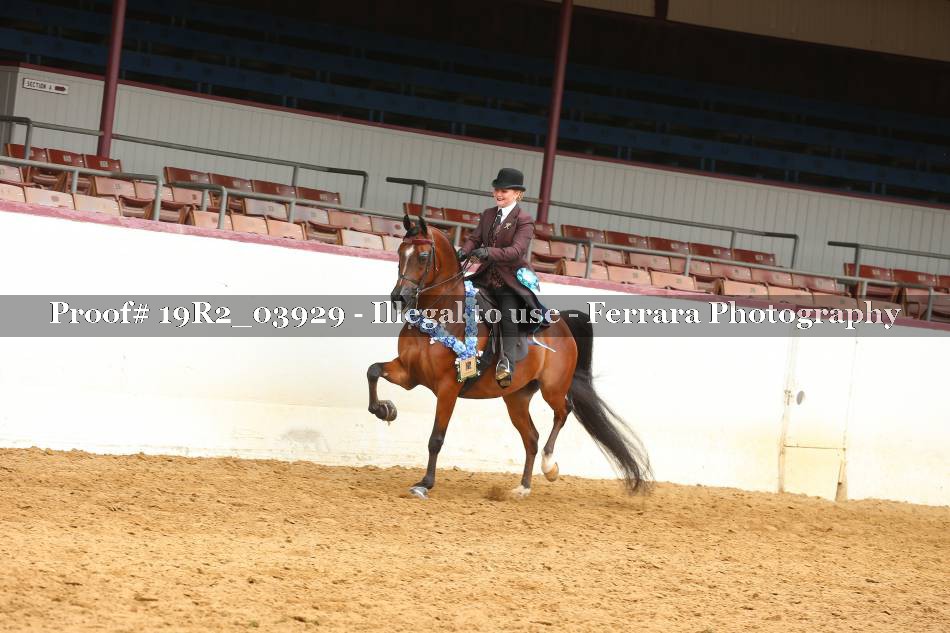 Proof 19R2_03929