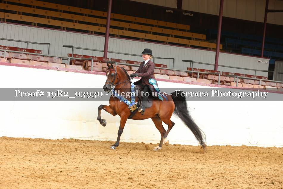 Proof 19R2_03930
