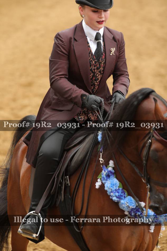 Proof 19R2_03931