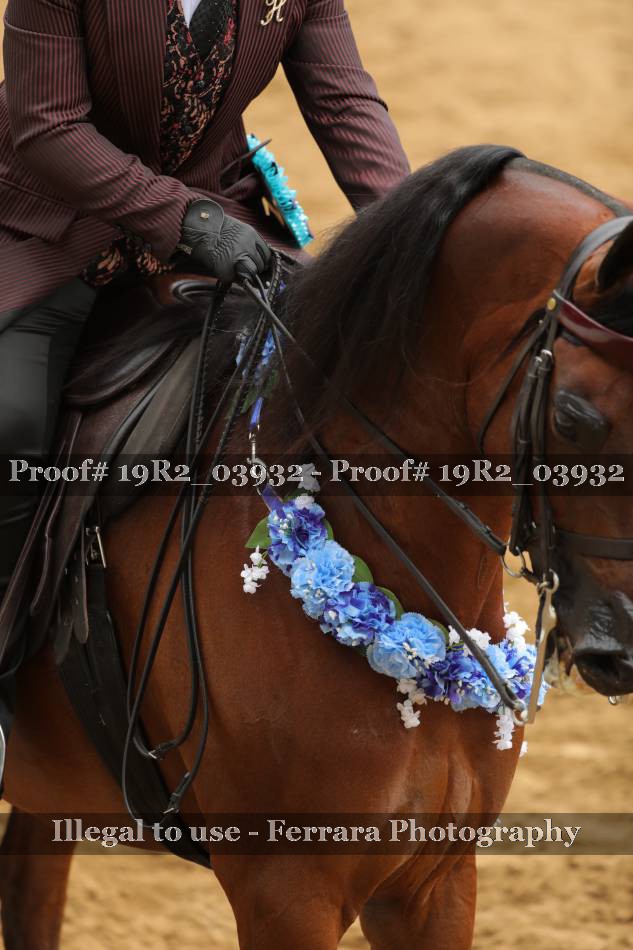 Proof 19R2_03932
