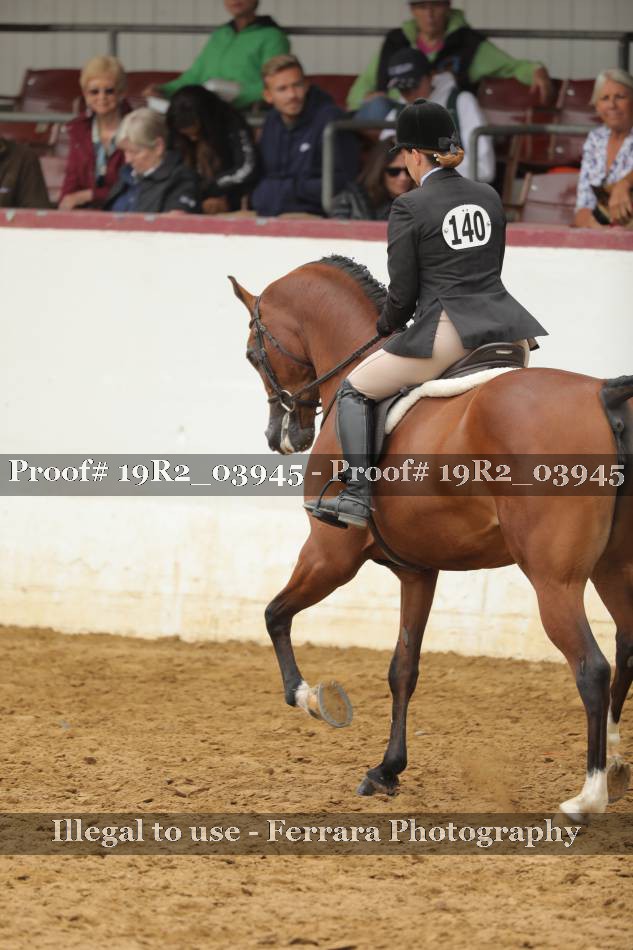 Proof 19R2_03945