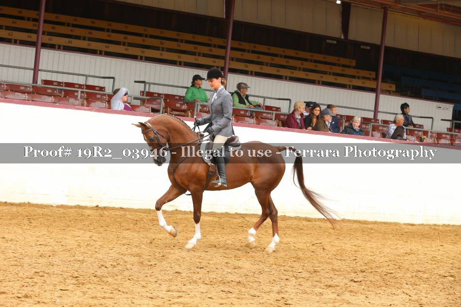 Proof 19R2_03946