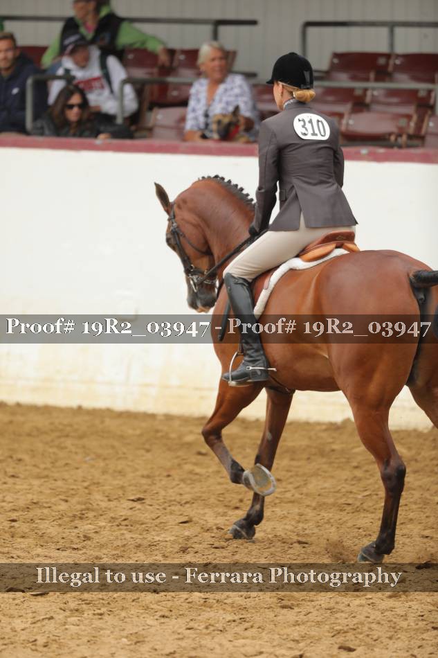 Proof 19R2_03947