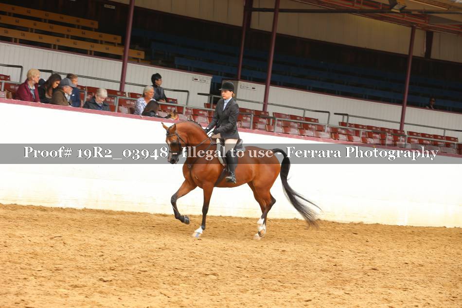 Proof 19R2_03948
