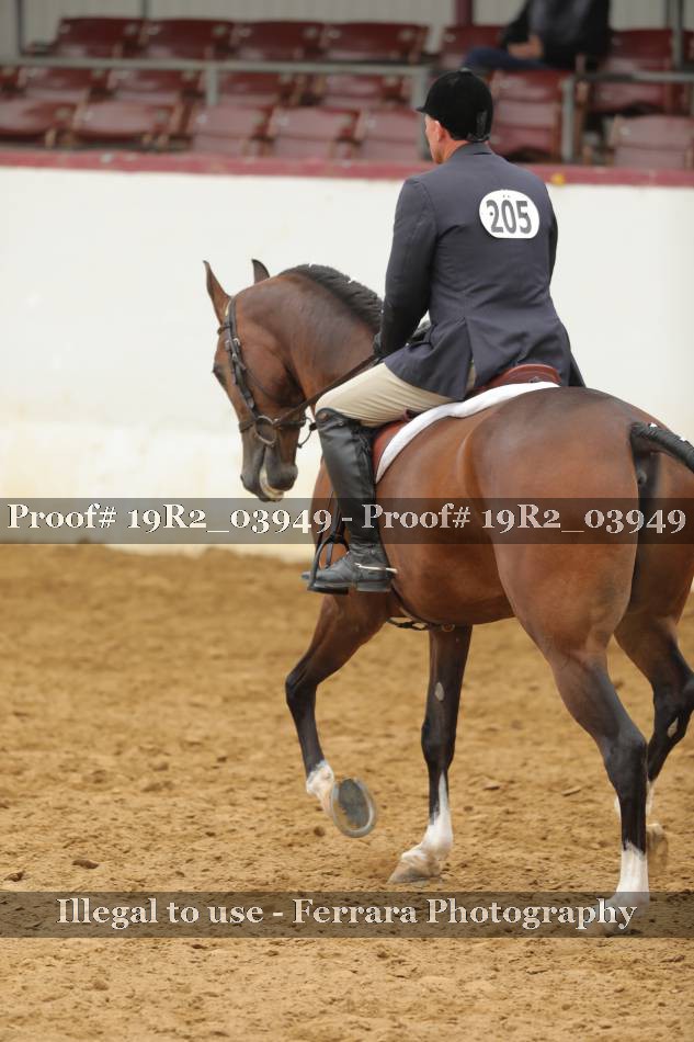 Proof 19R2_03949