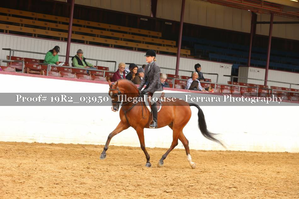 Proof 19R2_03950