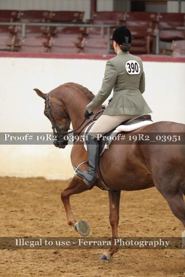 Proof 19R2_03951
