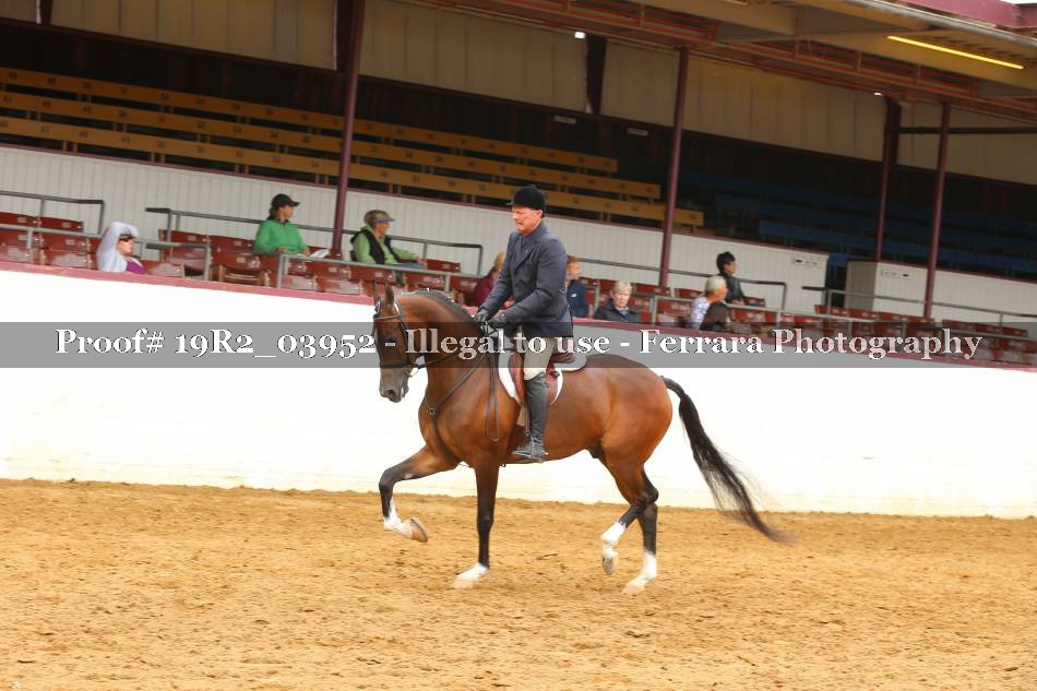 Proof 19R2_03952