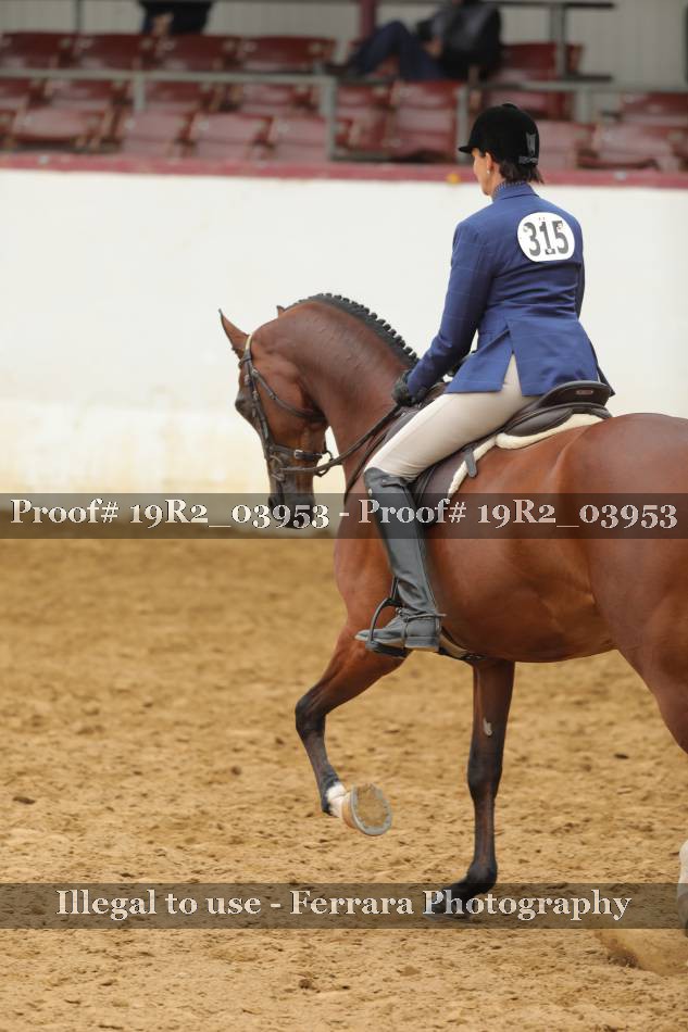 Proof 19R2_03953