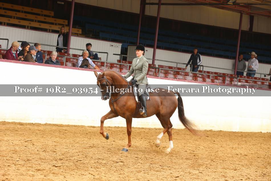Proof 19R2_03954