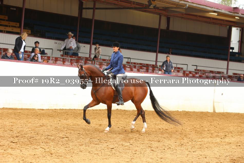 Proof 19R2_03955
