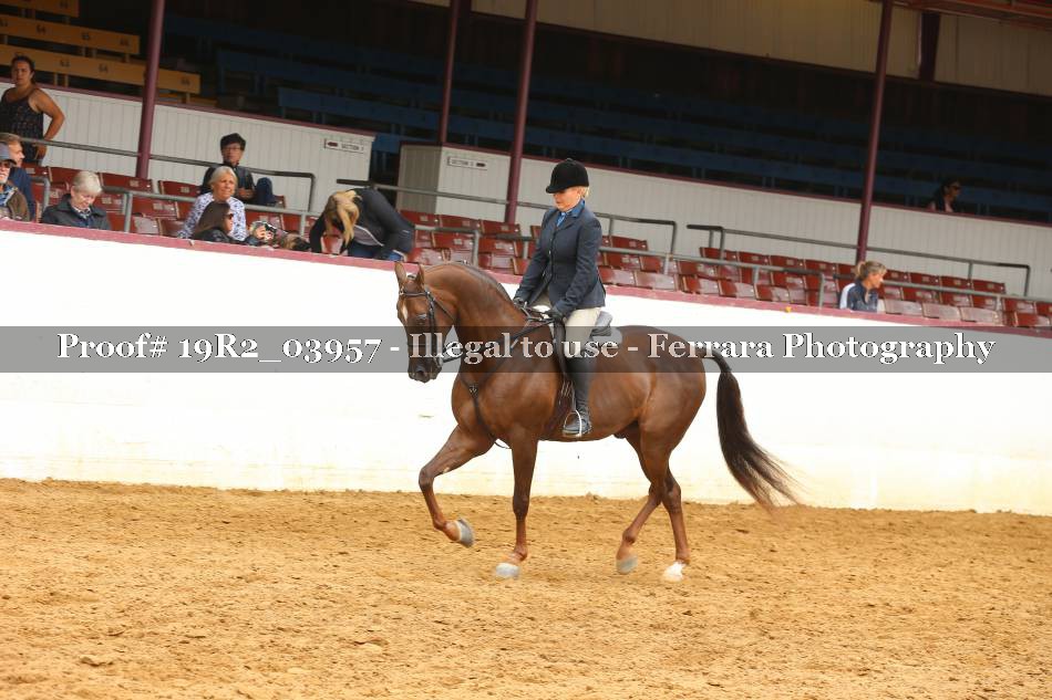 Proof 19R2_03957