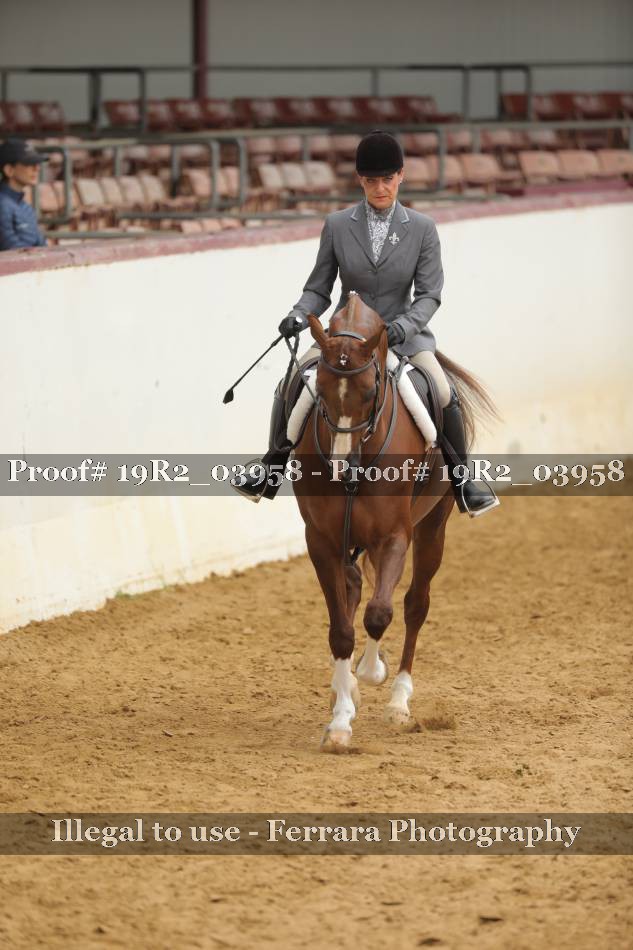 Proof 19R2_03958