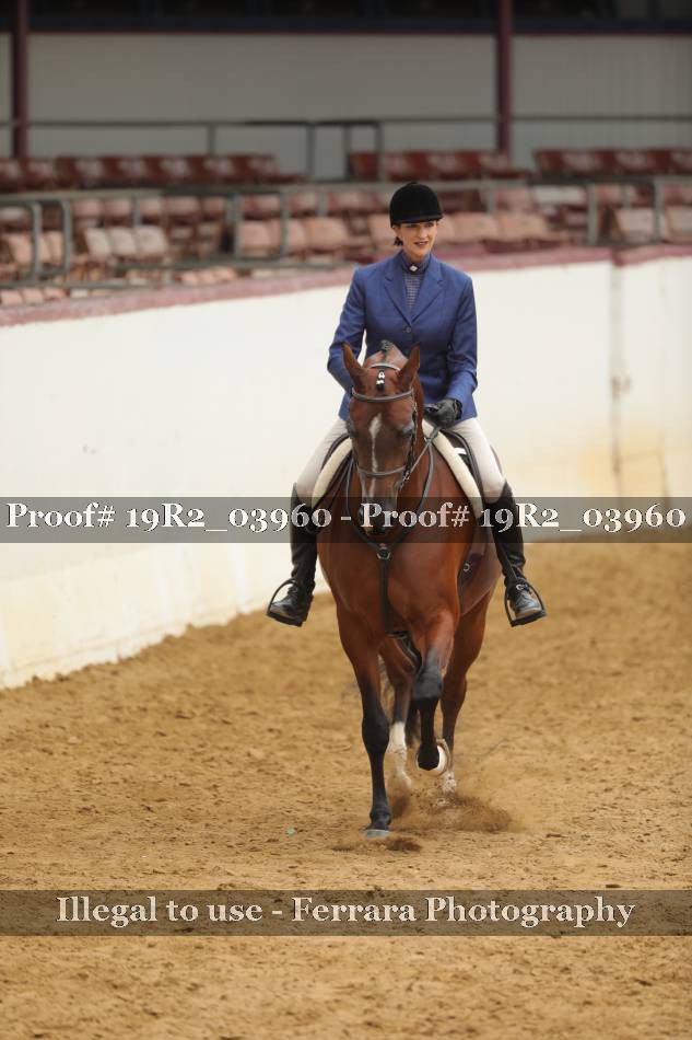 Proof 19R2_03960