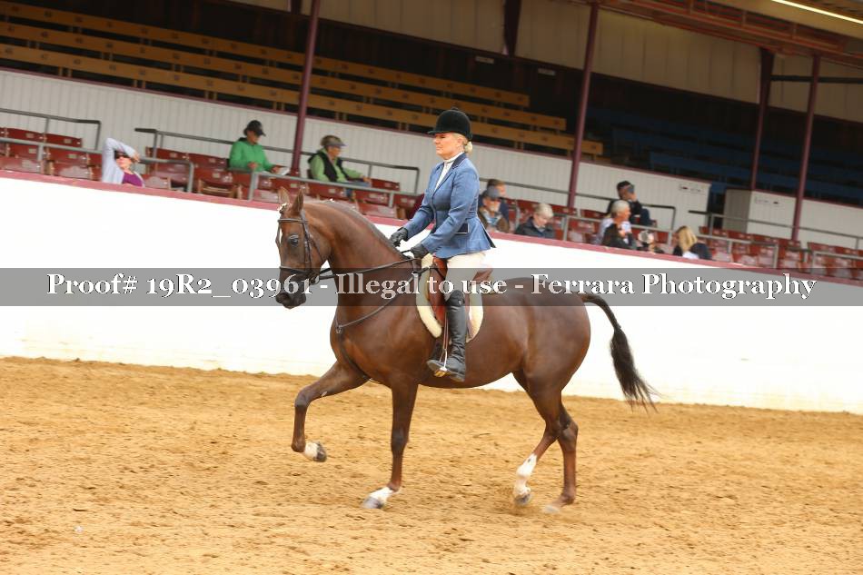 Proof 19R2_03961