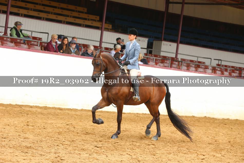Proof 19R2_03962