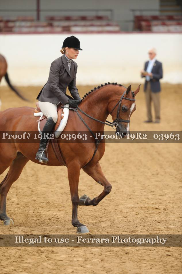 Proof 19R2_03963