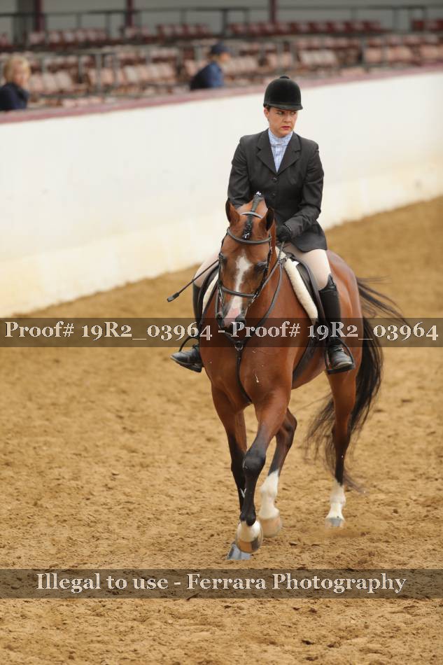 Proof 19R2_03964