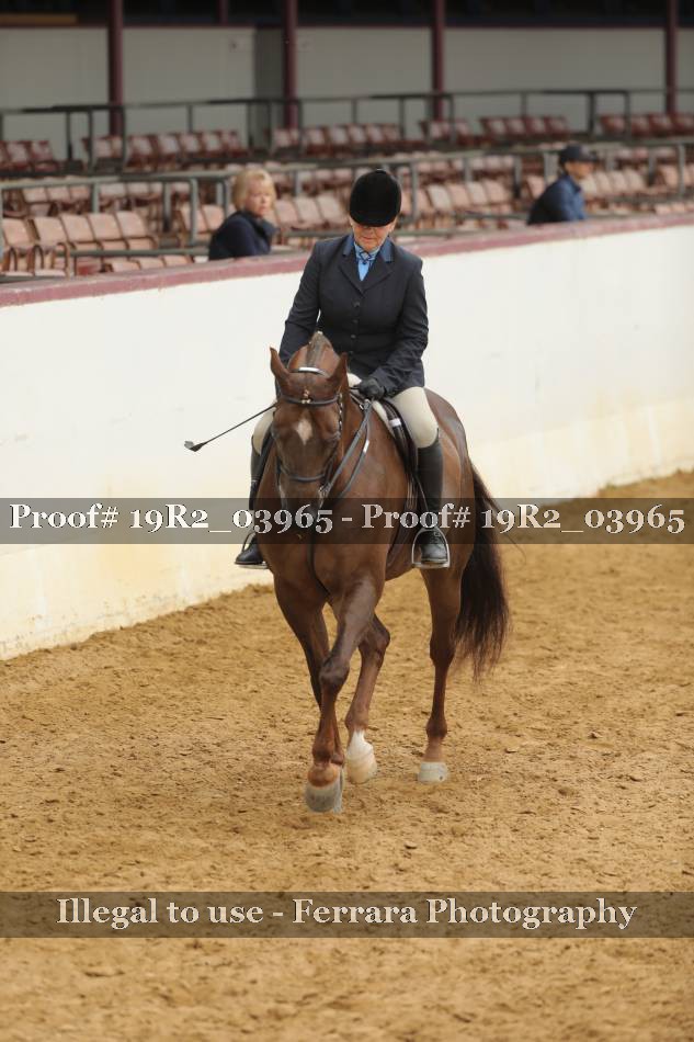 Proof 19R2_03965