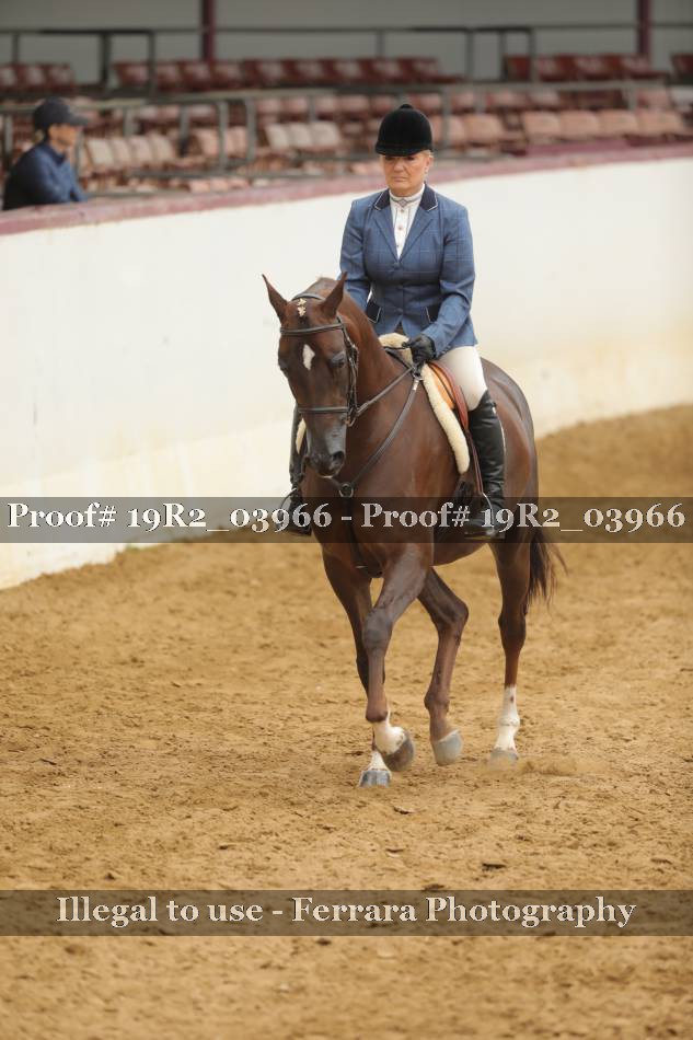 Proof 19R2_03966